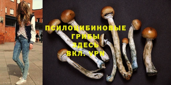 герыч Снежинск