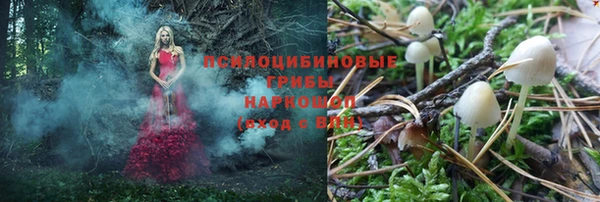 метадон Снежногорск