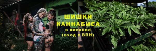 метадон Снежногорск