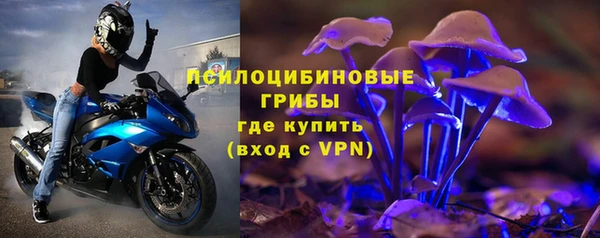герыч Снежинск