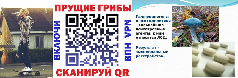 что такое наркотик  Бердск  Псилоцибиновые грибы мухоморы 